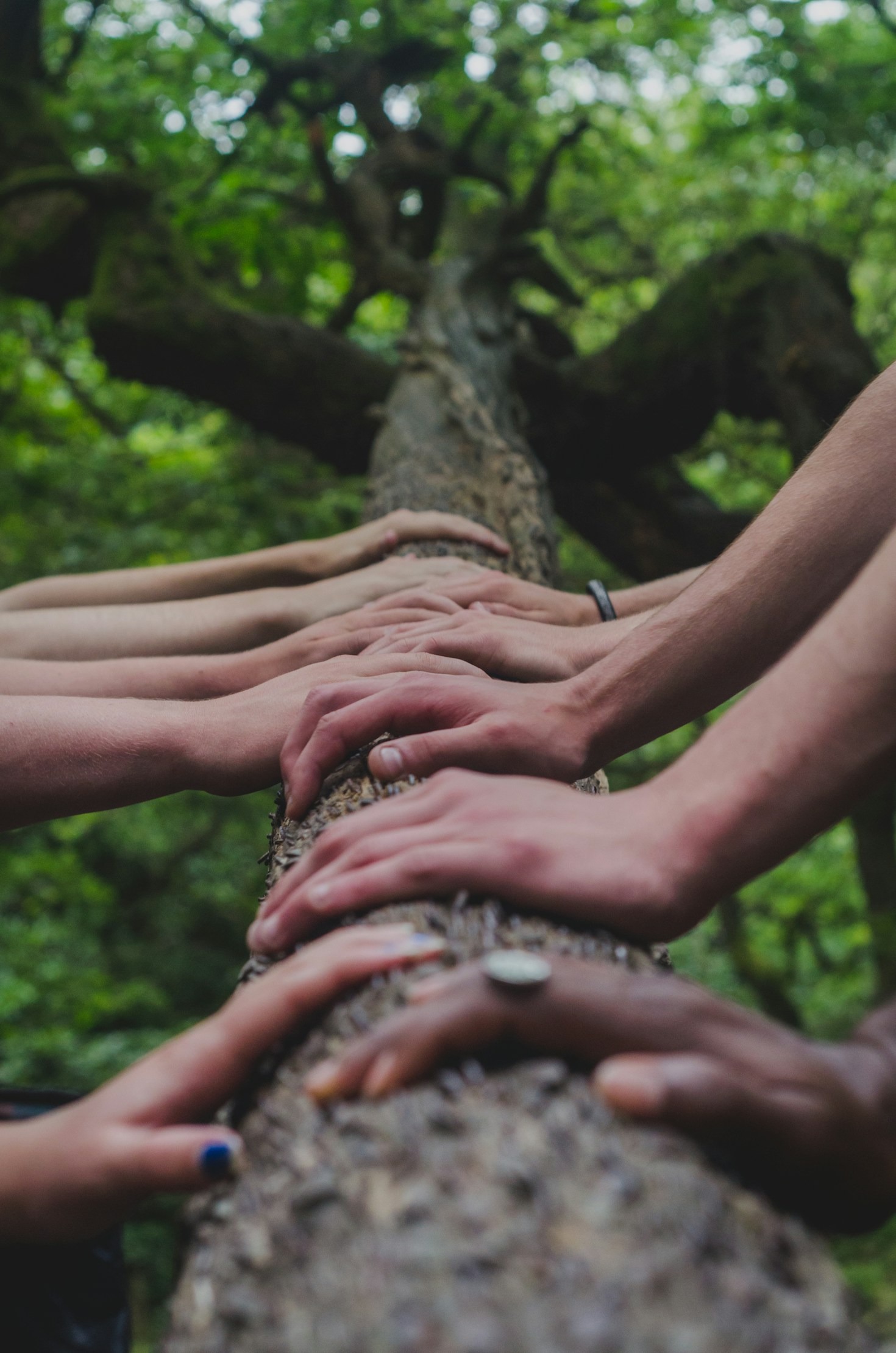 Comment s’engager dans des actions solidaires